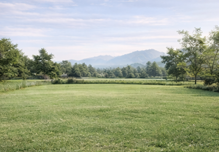 บ้านเดี่ยว